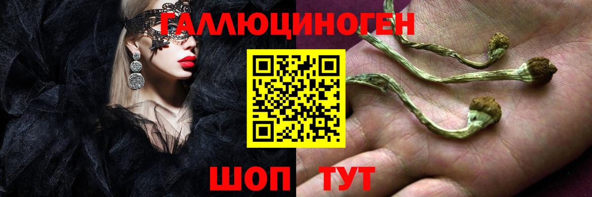 Псилоцибиновые грибы MAGIC MUSHROOMS Еманжелинск